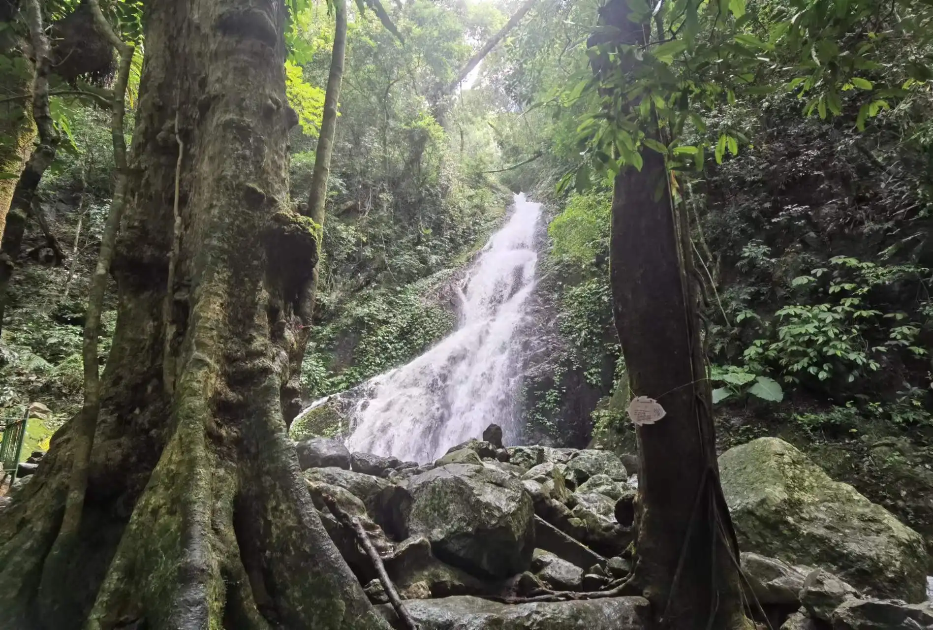 五指山热带雨林风景区山腰上的一个小瀑布